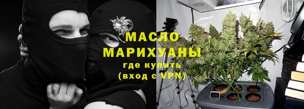 молекула духа Богданович